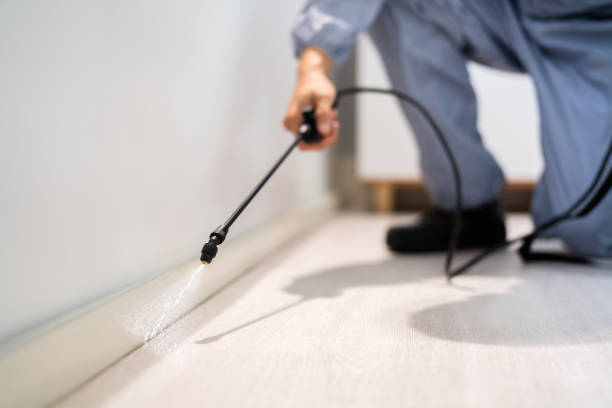 Licensed Mosquito Control service in Visalia, CA - Show Me Pest Control