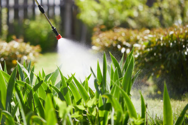 24/7 Emergency Mosquito Control experts in Visalia, CA