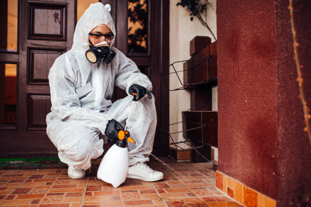 Reliable Mosquito Control contractor in Visalia, CA by Show Me Pest Control